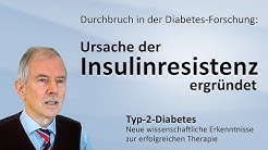Ursache der Insulinresistenz ergründet